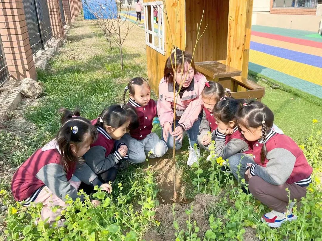不負春光，“植”得期待|培文幼兒園植樹節活動